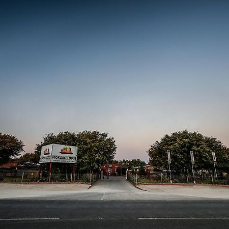 Mokoro Lodge Maun Zewnętrze zdjęcie