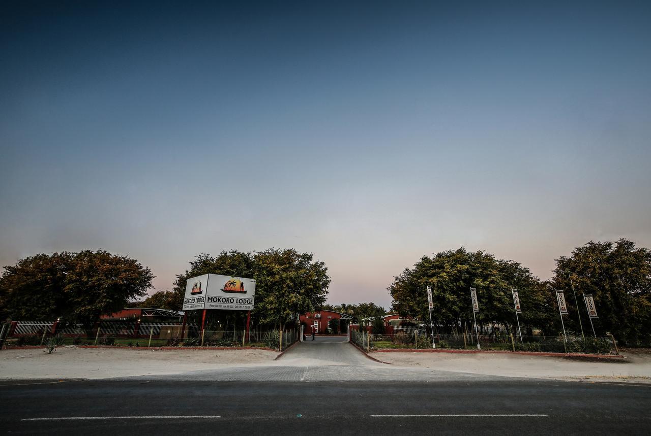 Mokoro Lodge Maun Zewnętrze zdjęcie