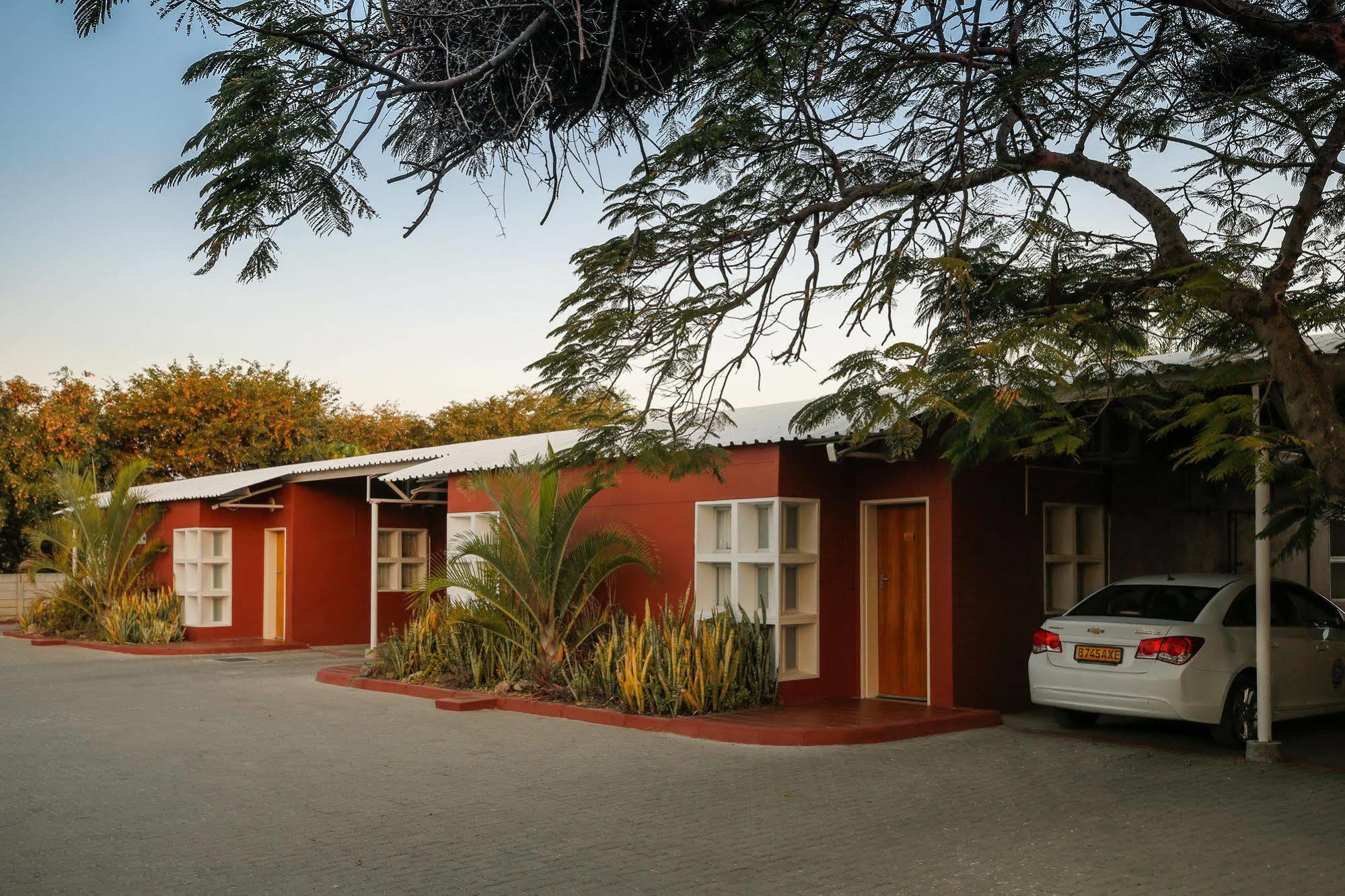Mokoro Lodge Maun Zewnętrze zdjęcie